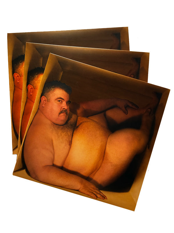 Hefty Fine LP sleeves (Damaged, set of 3)