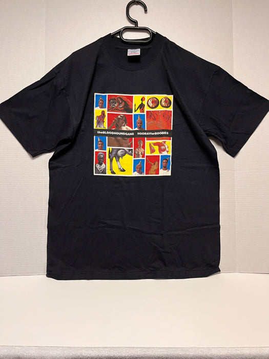 2000 Vintage Hooray For Boobies Tour Large T-shirt